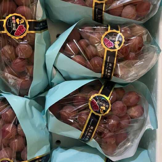 营口妮娜皇后出售