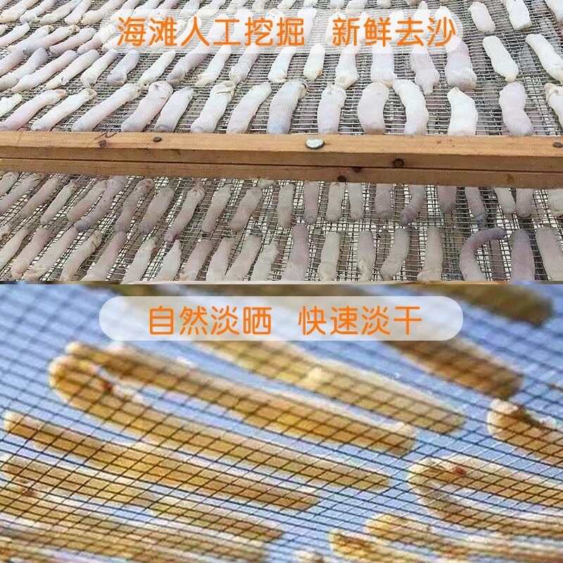 300头左右大灰沙干海味干货北海灰沙虫干黑沙虫海味