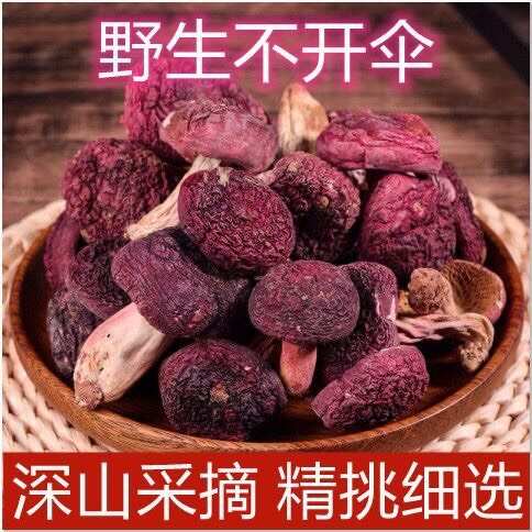 石家庄野生净重红菇干货不开伞新鲜小朵红菇野生红蘑红菌煲汤滋补蛹虫草