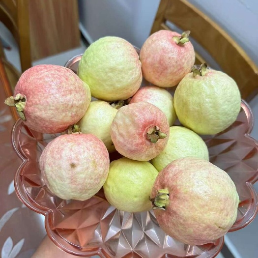 珠海自家果园的胭脂红番石榴鸡屎果香甜软糯升糖慢孕妇老年人的好果子