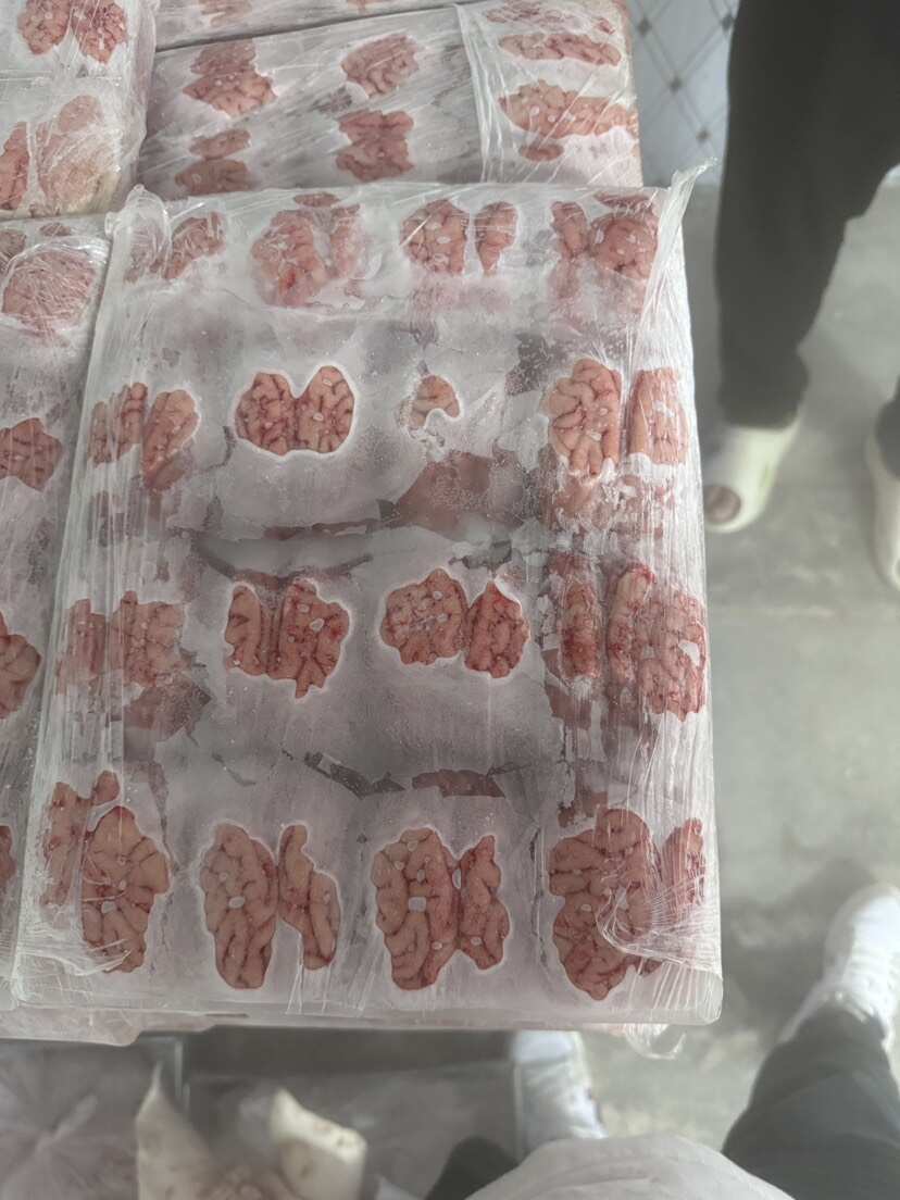 鲜冻盒装猪脑花