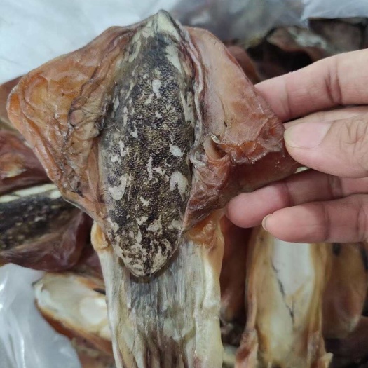 北海乌贼墨鱼月子孕妇哺乳期妈妈下奶天然血墨鱼干乌贼干无盐淡晒家用