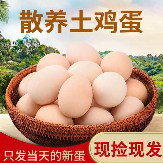 岳阳县鸡蛋