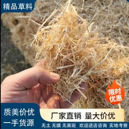 仙桃市优质柔丝小套袋