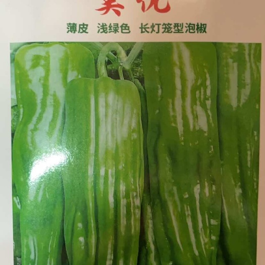 平远县泡椒种子  福椒35 早熟 产量好 采收期长 微椒型薄皮泡椒