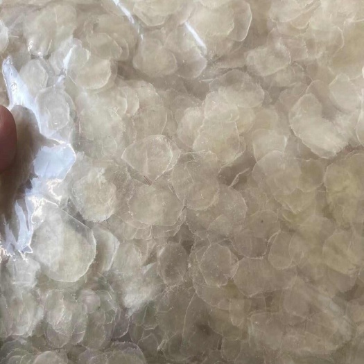 青岛鱼鳞干