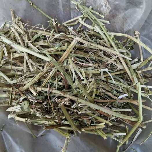 平舆县花生秧