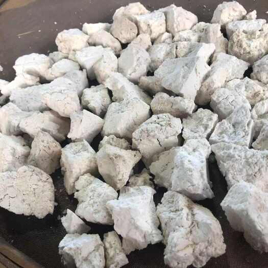 景谷县云南白茯苓纯白坨无硫晒干
