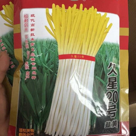 久星20号种子（基地渠道）