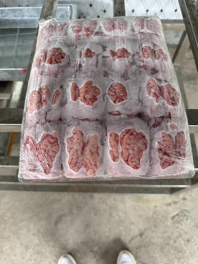 鲜冻盒装猪脑花