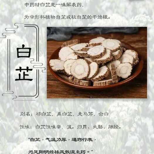 太康县白芷通货