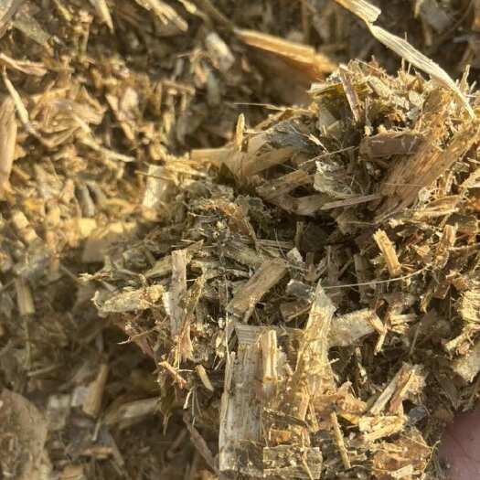 固镇县优质黄储牛羊草料