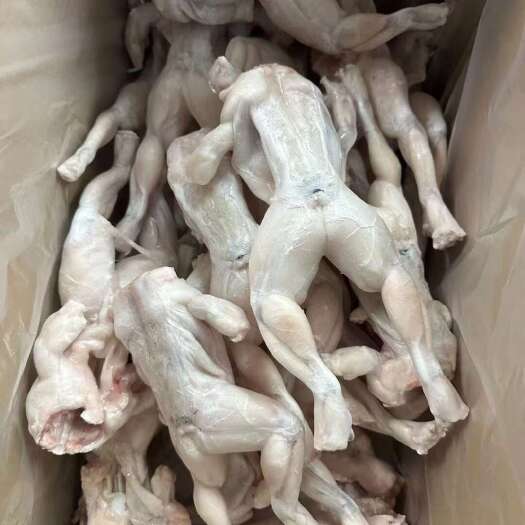 济南活冻整只牛蛙