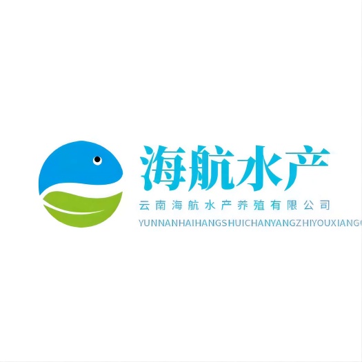 鲟鱼 1.5-3公斤，云南海航鲟鱼养殖场。