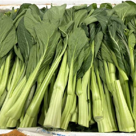 连州市连州菜心，岭南佳蔬