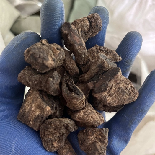生地黄干货中药材河南焦作生地黄个片批发新鲜干地黄煲汤