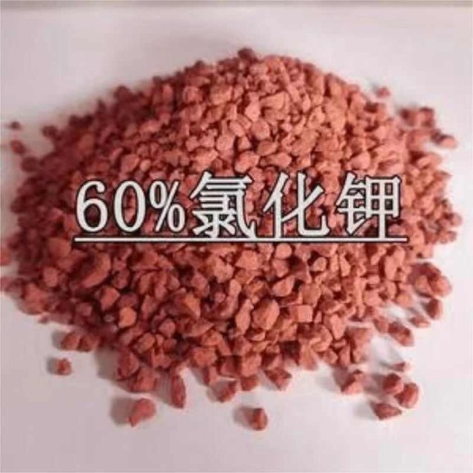 南宁氯化钾俄罗斯农业级60%红钾氯化钾工业级电镀62%含量氯化钾