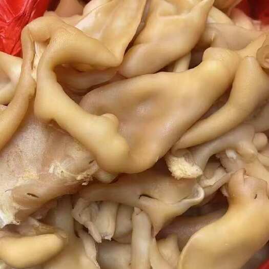 临沂山东临沂新鲜羊脸 美味营养丰富 足斤足量 发货快速