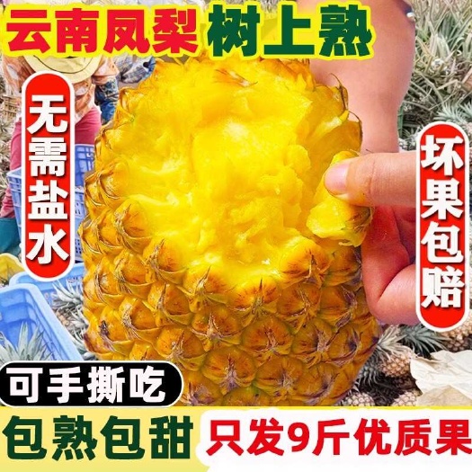 上海【甜】正宗云南金钻凤梨当季新鲜香甜水果无眼手撕非大菠萝整箱