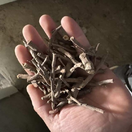 菏泽牡丹须子段，精品货，需要的老板联系