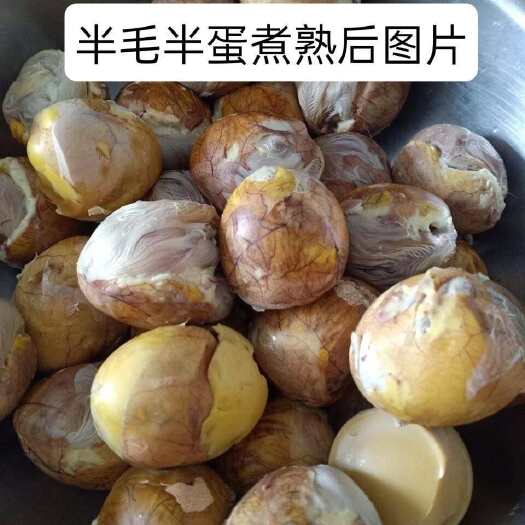 广州活珠子，毛蛋，库存蛋