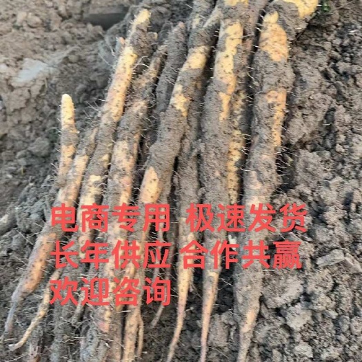 蠡县紫药二路 支持各种包装