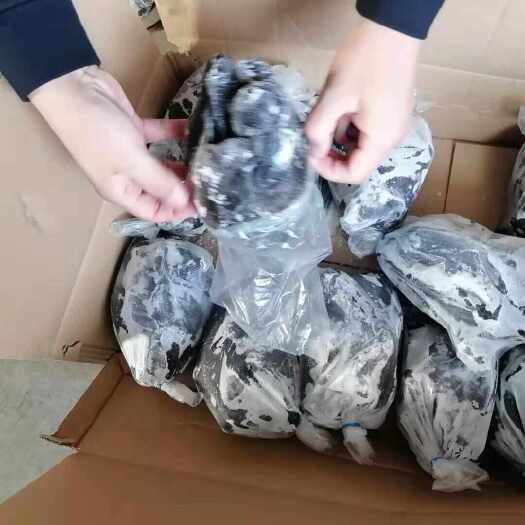 莘县乌鸡白条盘腿  直腿（规格齐全）