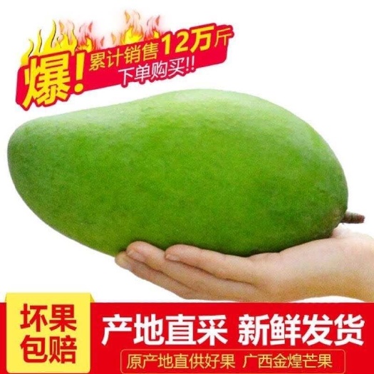 凭祥市全国大青芒大量供应批发