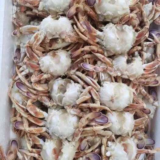 济南沙蟹