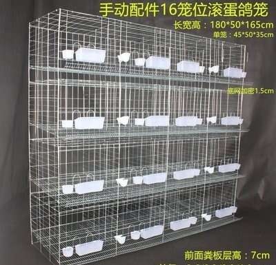 安平县蛋鸽养殖笼滚蛋鸽笼双母鸽笼4层滚蛋鸽笼16笼位蛋鸽子保姆鸽笼