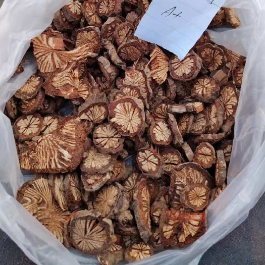 祁门县大血藤