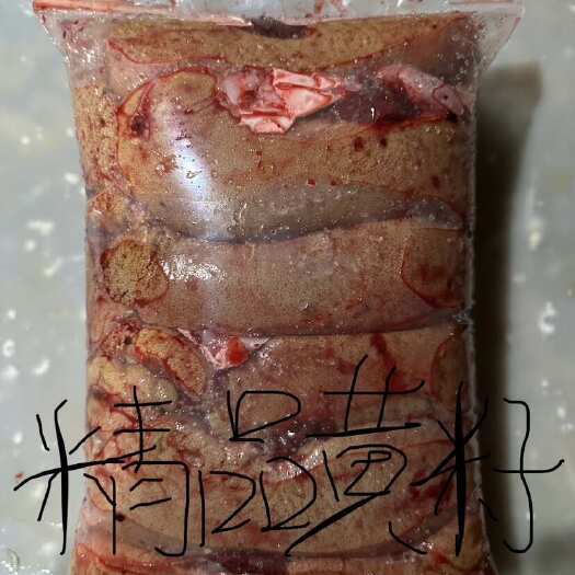 鲤鱼籽 鱼白鱼泡大量有货