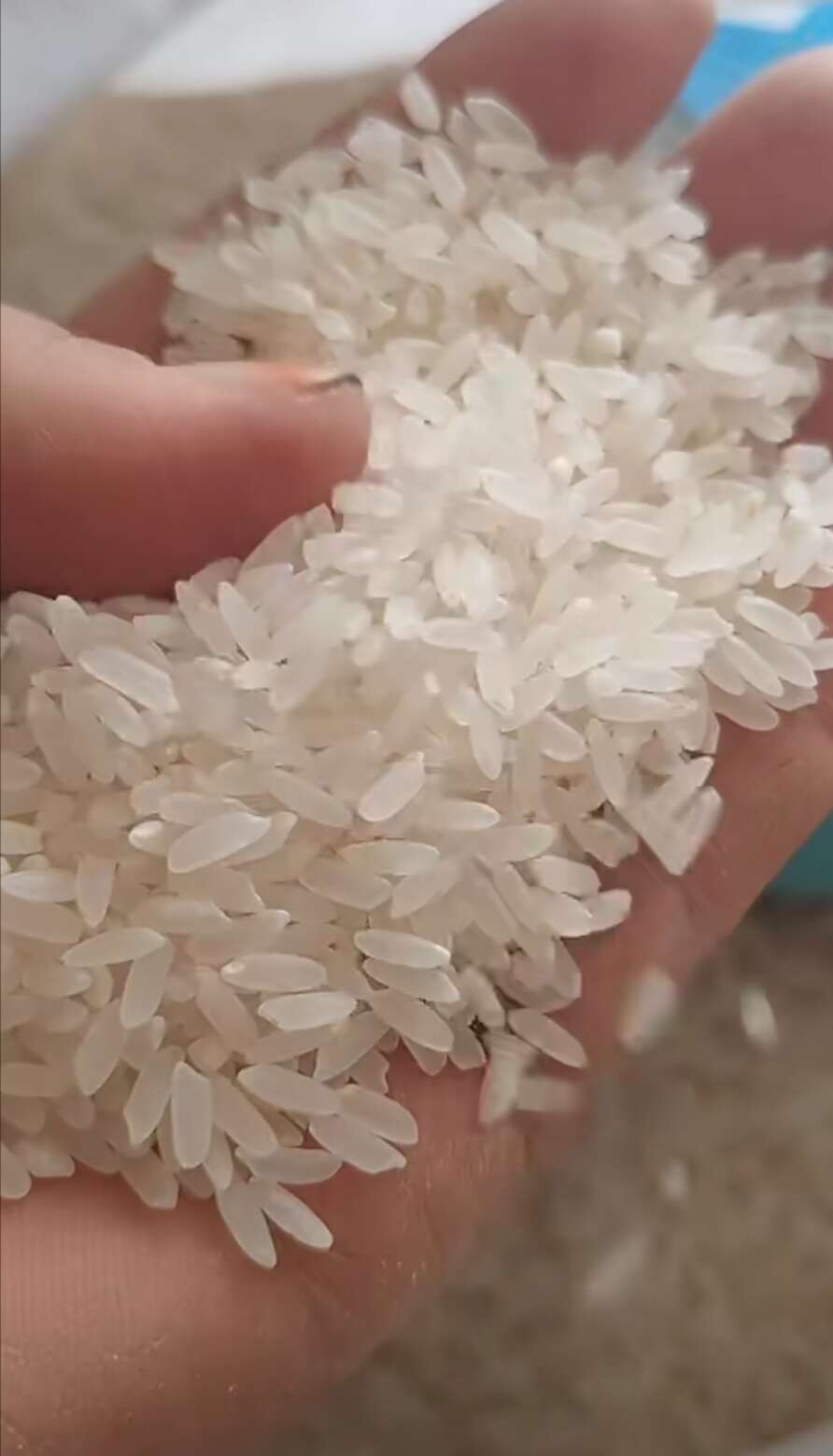 自家种的水稻，江水灌溉，米质好，。口感好，自产自销。现磨现卖