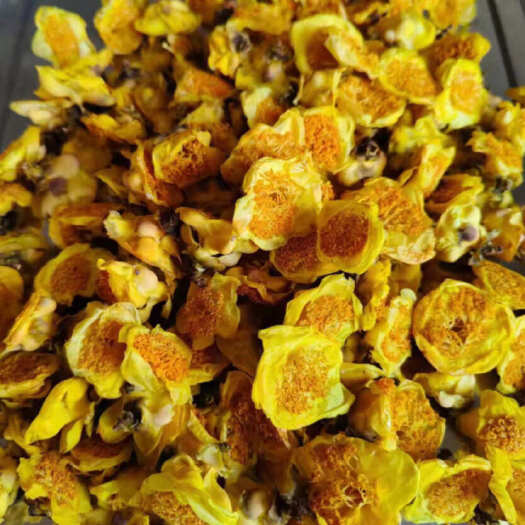 藤县金花茶基地直销