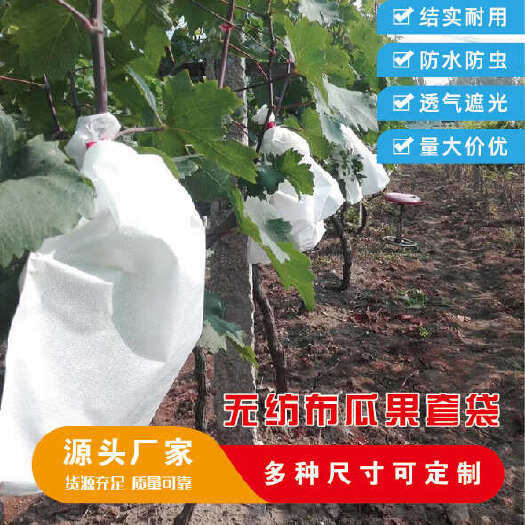 桐城市无纺布瓜果种植套袋露天葡萄桃梨子芒果莲雾套袋防虫防鸟防水透气