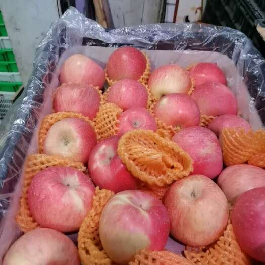 惠州红星苹果