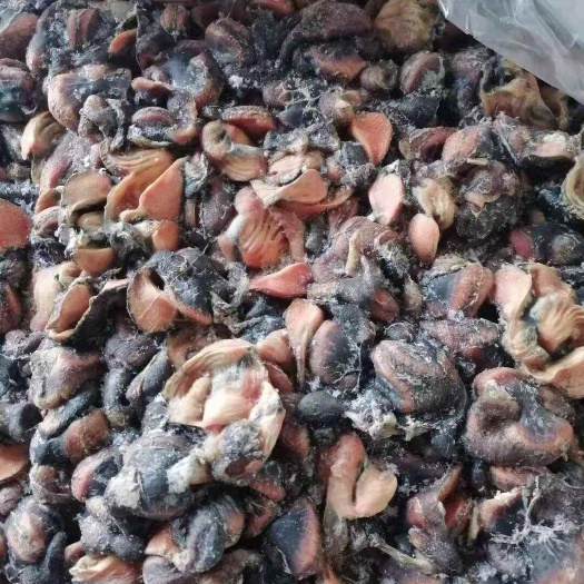 莘县乌鸡胗（净胗）