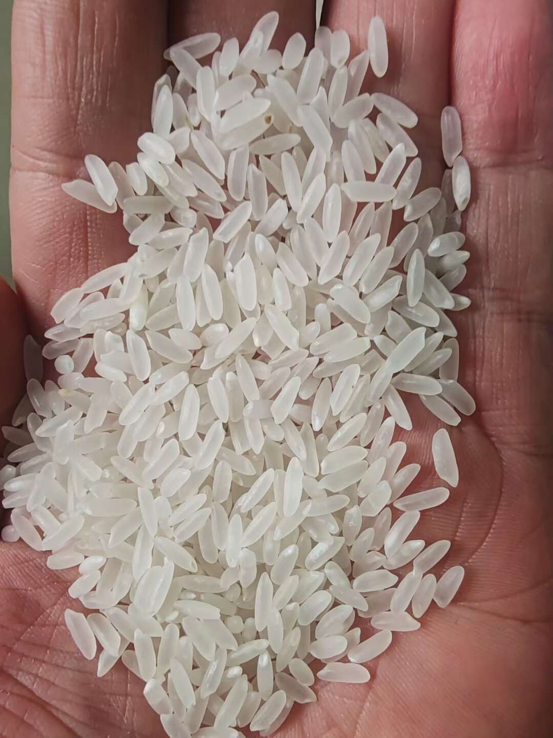 中科 长粒香
