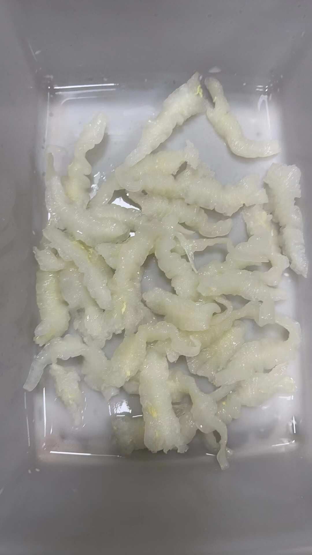 鲜冻鱼胶巴沙胶，高质量