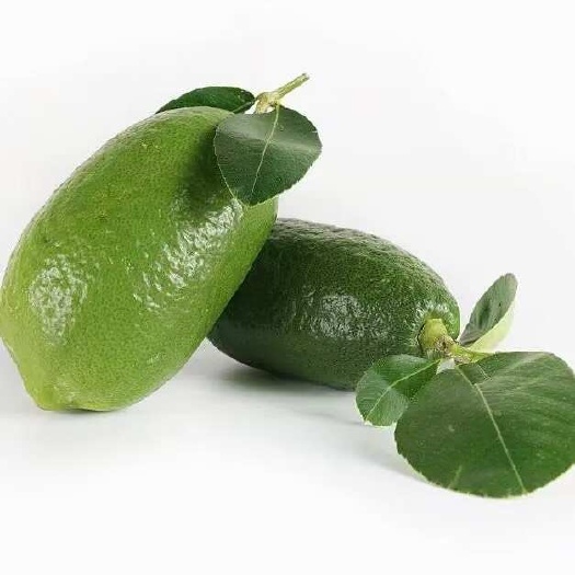 海口香水柠檬奶茶专用香水柠檬长期合作货源充足