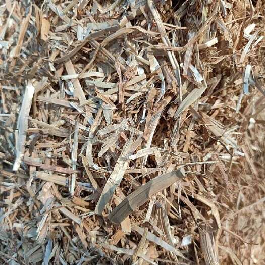 新沂市江苏徐州新沂市高品质小麦秸秆饲料 ，保质保量，诚信经营。