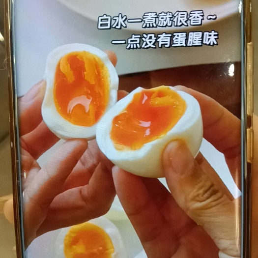 新民市鸡蛋