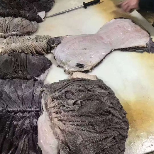 国产纯干鲜牛百叶