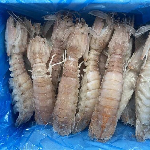 北海北海皮皮虾熟冻【质量稳定】鲜活赖尿虾超大餐厅供应