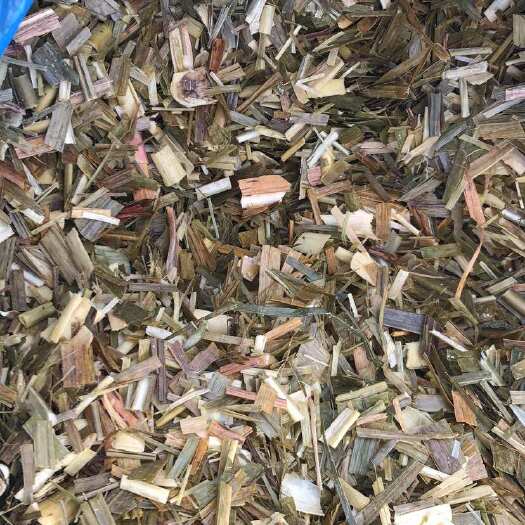 来宾广西优质蔗尾青贮草料 牛羊马通用 整车供应 快速物流