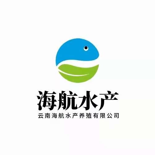 鲟鱼，3-6公斤，云南海航鲟鱼养殖场。