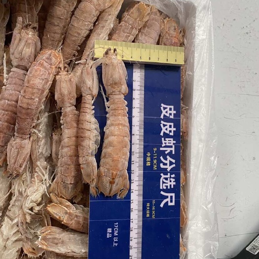 北海北海皮皮虾赖尿虾供应餐厅饭店质量保证虾爬子