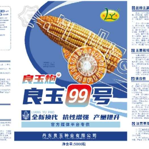沈阳丹东良玉99 抗锈病抗倒伏密植矮杆 棒子大产量高粮质好