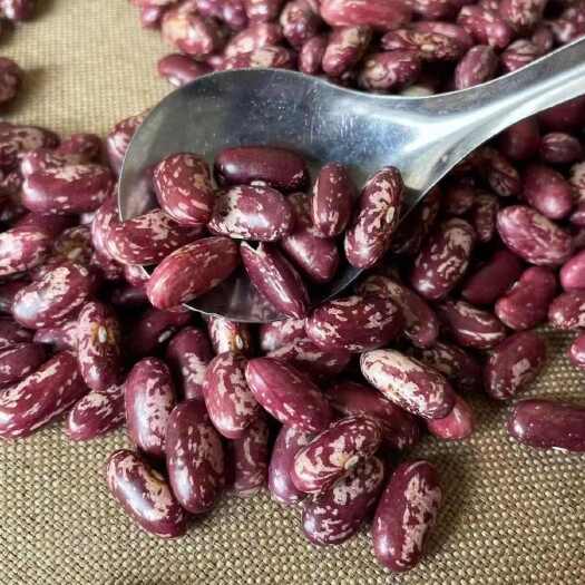 赫章县贵州毕节赫章县优质红豆2024年新豆芸豆红花豆