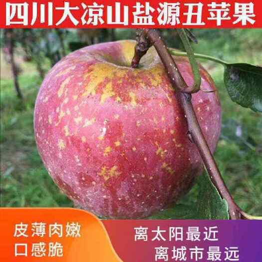 盐源县苹果